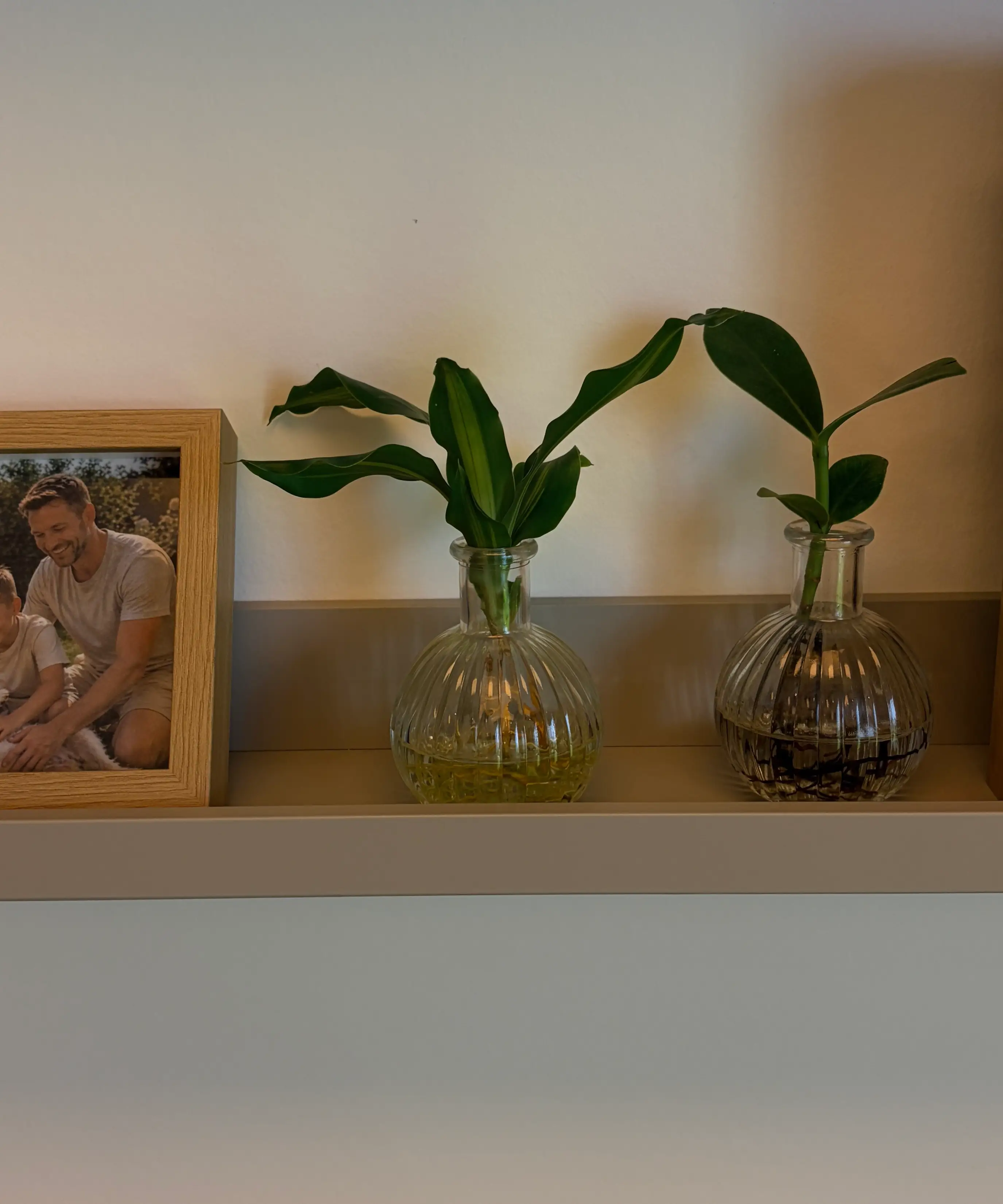 Object placed into a realistic scene